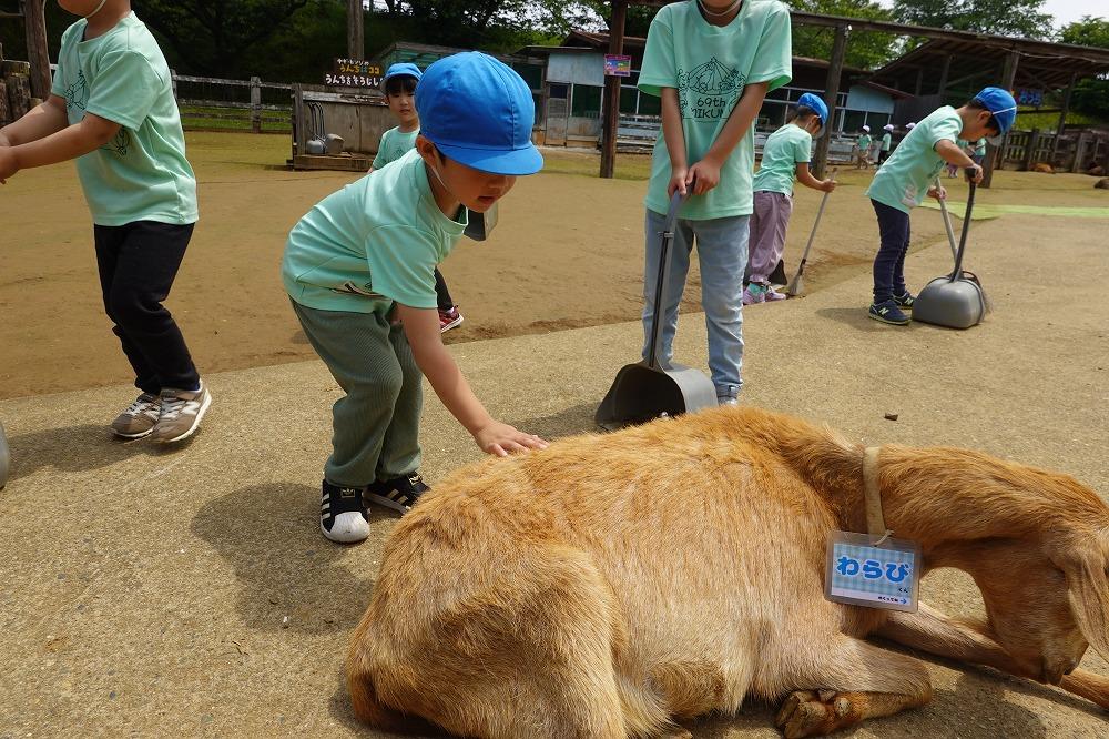 5月 牧場遠足